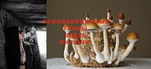 гашишное масло Белокуриха