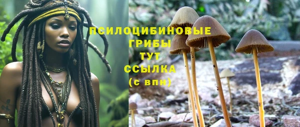 гашишное масло Белокуриха