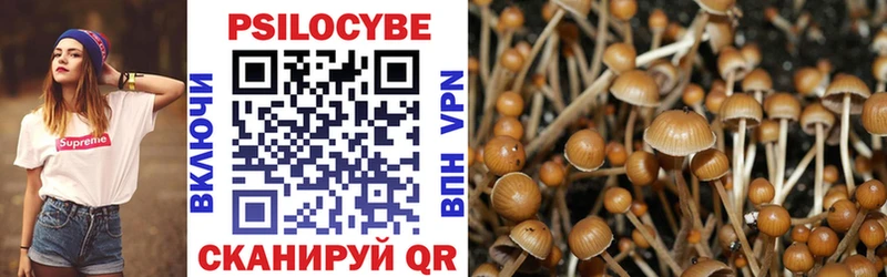 shop состав Семикаракорск Галлюциногенные грибы MAGIC MUSHROOMS